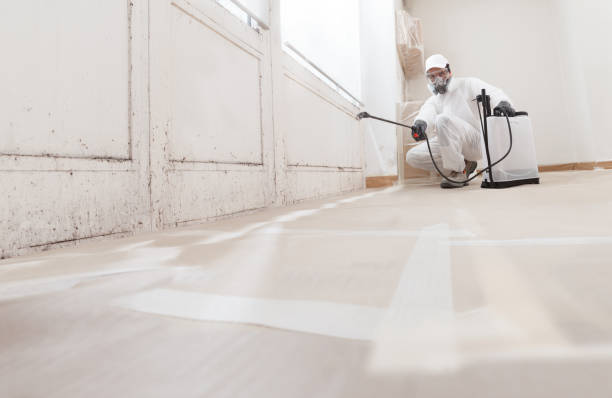 24/7 Emergency Mold Testing experts in Raleigh, NC